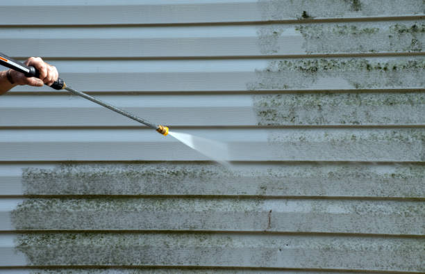 Best Gutter Cleaning  in Lake Lifornia, CA